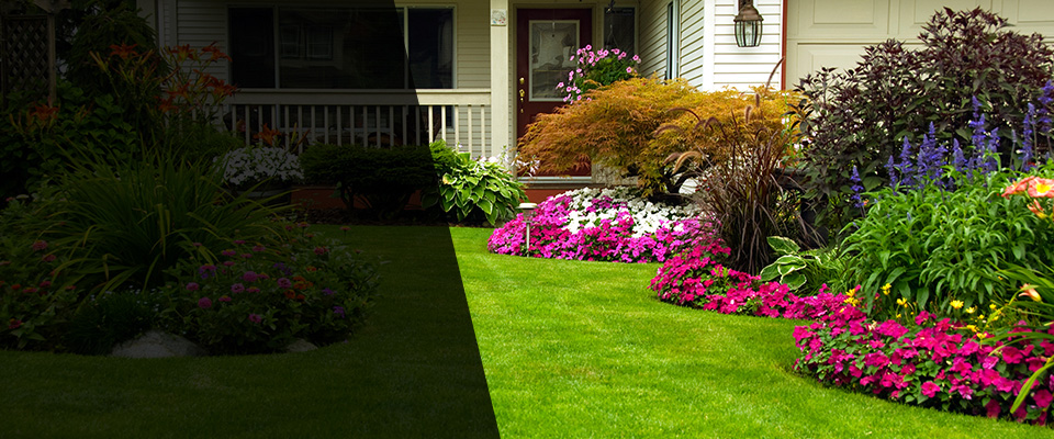 Satsuma Landscapers
